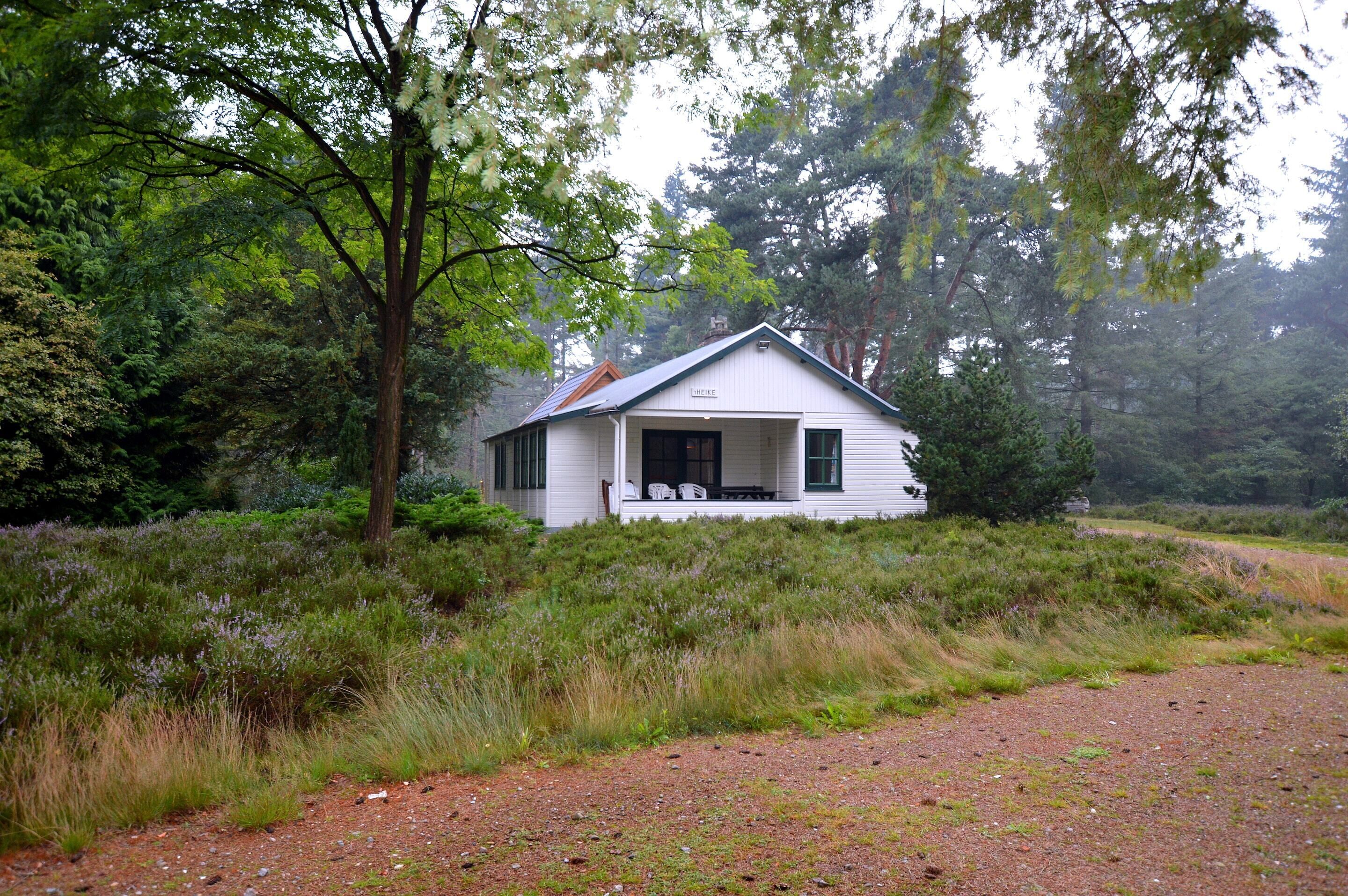 A white house with a porch, surrounded by dense greenery and trees.