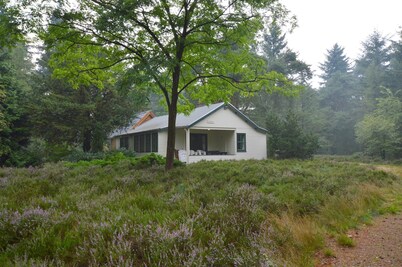 Holiday Home in Maarheeze Near Forest