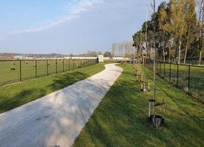 View from property - Holiday Home in Maarheeze Near Forest (Maarheeze)