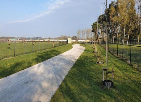 House | View from property - Holiday Home in Maarheeze Near Forest (Maarheeze)