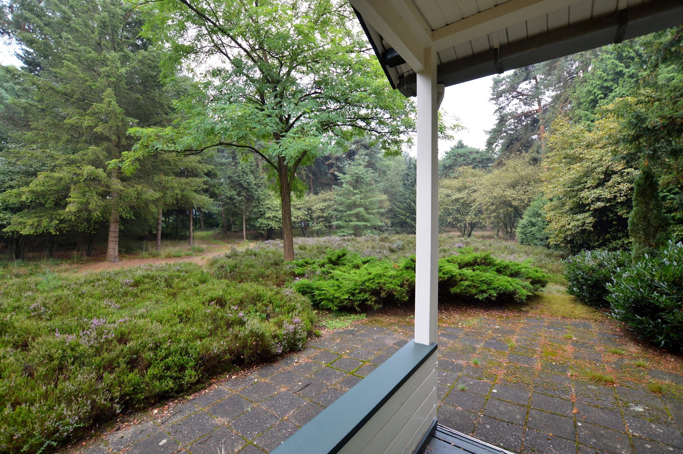 A covered outdoor area with a stone floor, surrounded by dense greenery and trees.