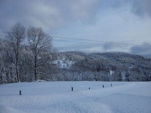 Snow and ski sports - Chalet in Saulxures Near Ski Resorts (Saulxures-sur-Moselotte)