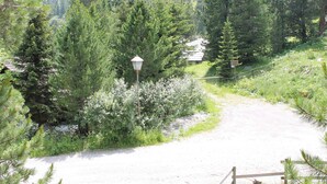 Un sendero de grava que atraviesa un área boscosa con una farola y una valla de madera.