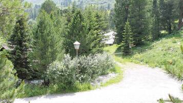 Chalet | View from property