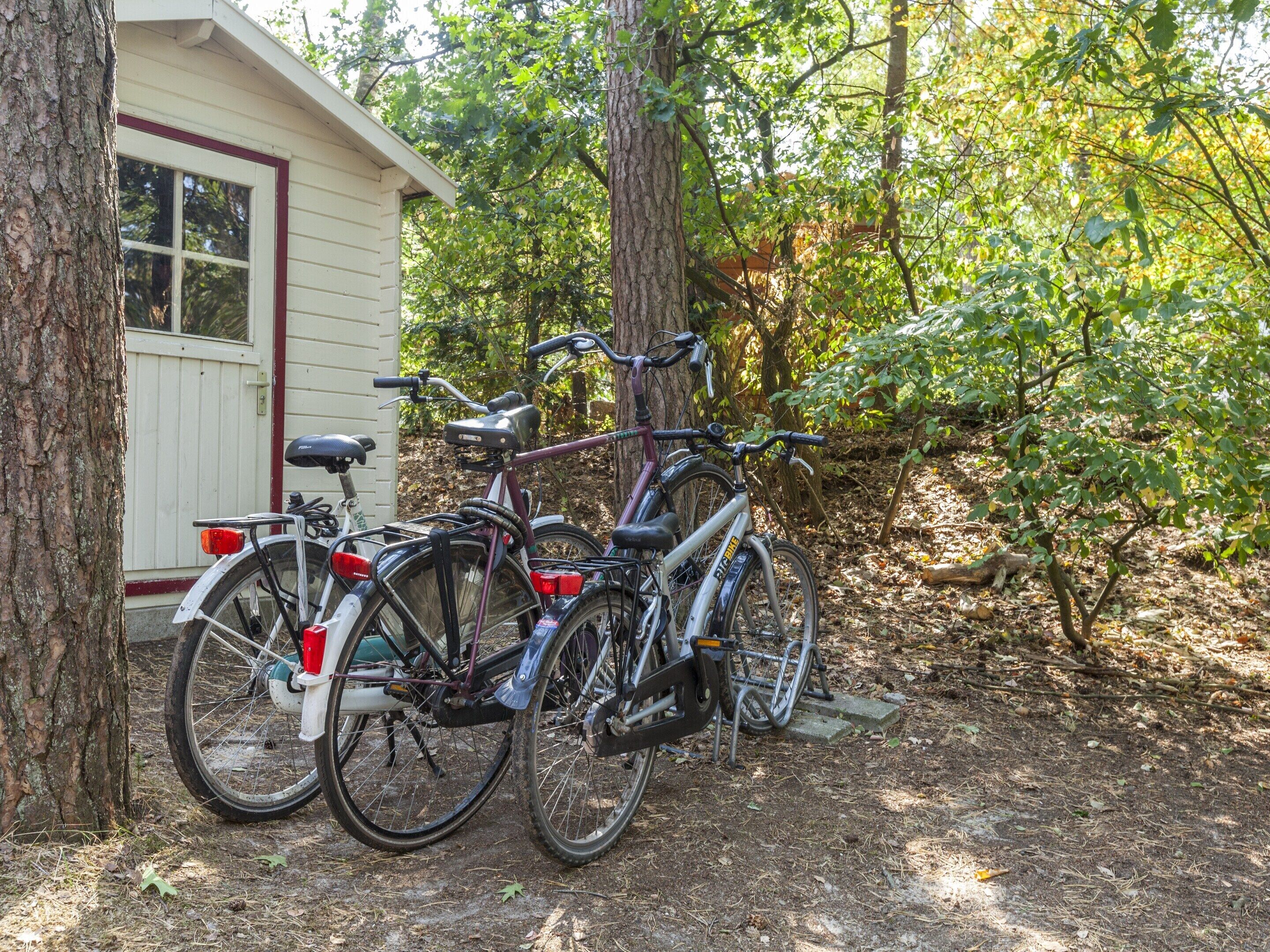 Casa | Áreas de la propiedad