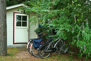 獨棟房屋 | 花園