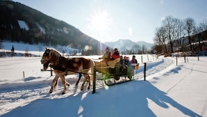 Unclassified image, 5 of 31, button - Luxurious Chalet Near Ski Area in Murau (Murau)