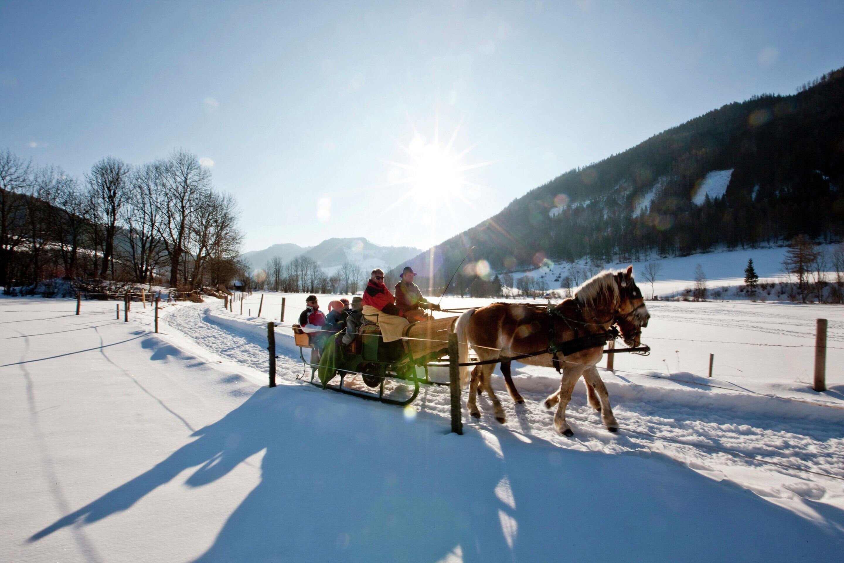 A horse-drawn sleigh with passengers on a snowy path.