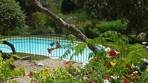 A swimming pool surrounded by a metal fence, with a tree branch overhanging the fence. - Villa in Crillon-le-brave Near Mont Ventoux (Crillon-le-Brave)