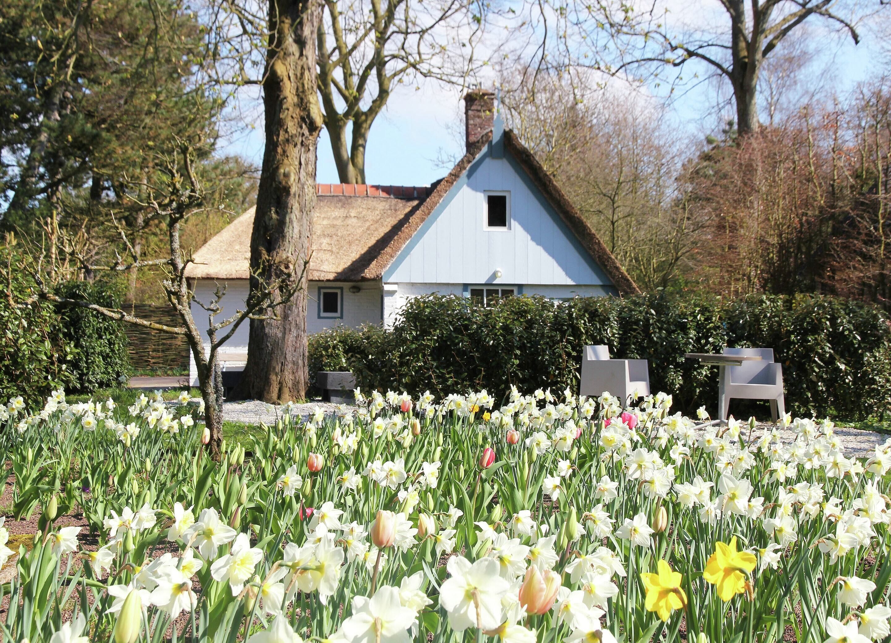 Khuôn viên nơi lưu trú