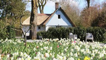 Khuôn viên nơi lưu trú