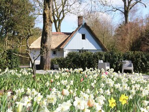 A house with a white exterior and a thatched roof, surrounded by a garden with daffodils. - Romantic Farmhouse in Bergen near Forest (Bergen)