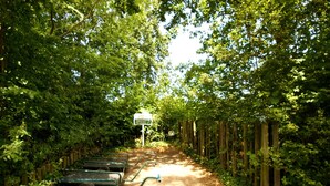 A pathway lined with green metal chairs and a signpost in a wooded area. - Nice Holiday Home for 5 People, Within Walking Distance of the Beach (Burgh-Haamstede)