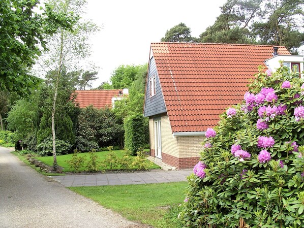 Ferienhaus | Außenbereich