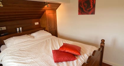Detached Brabant Farmhouse with Sauna near de Peel Nature Reserve