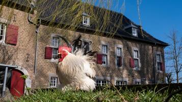 Vista desde la propiedad