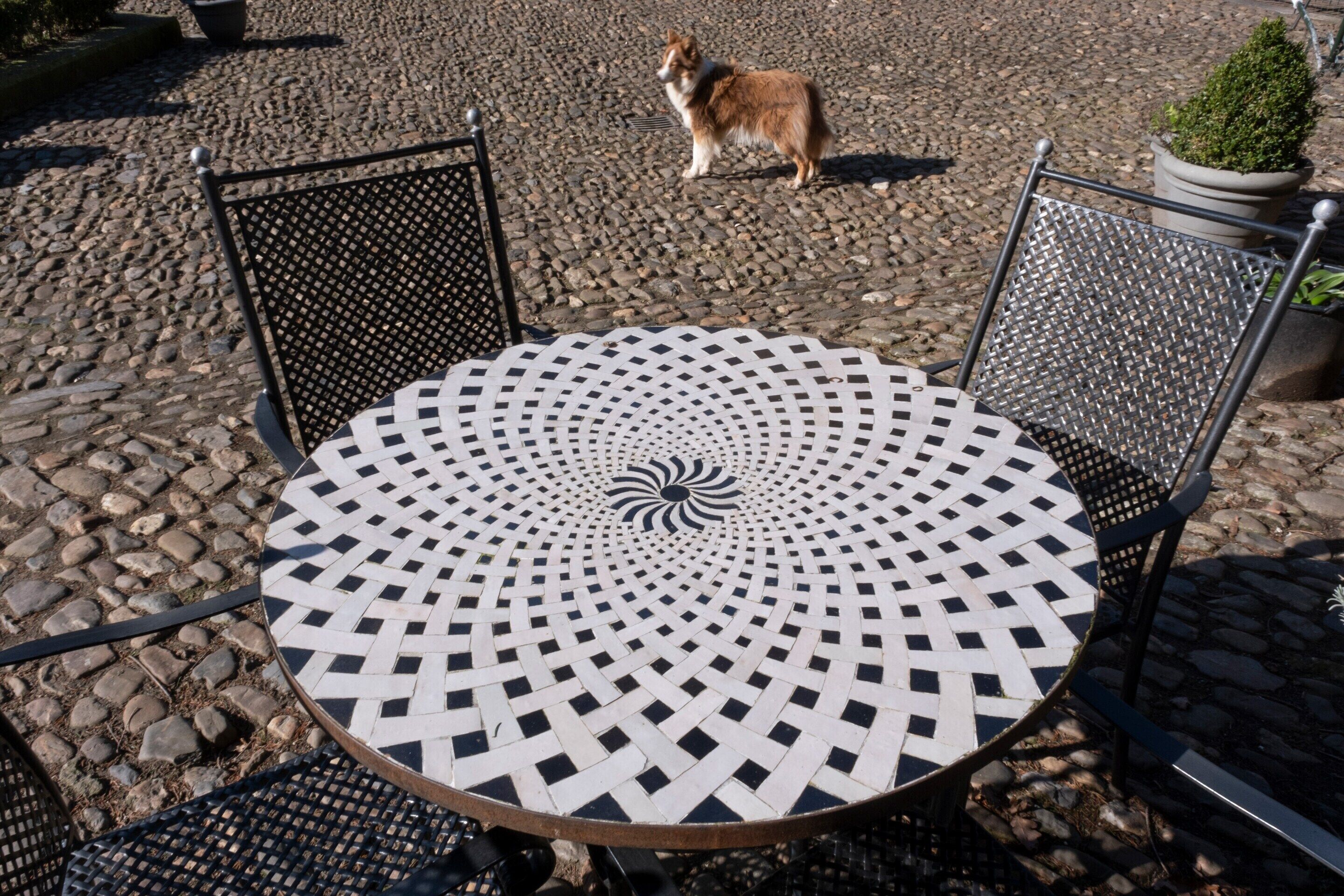 تفاصيل الفندق من الداخل