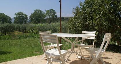 Holiday Home in Murviel With French Garden