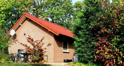 Detached Bungalow With Stove Located in the Betuwe