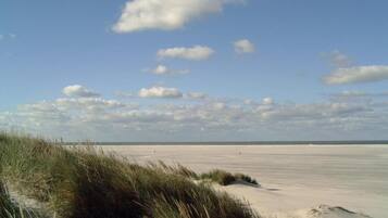 House | View from property