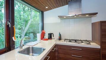 House | Private kitchen | Fridge