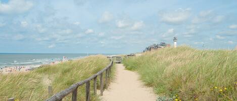 House | View from property