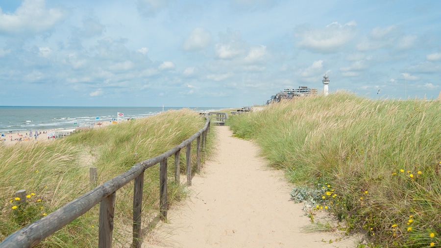 Holiday Home in Egmond by the Beach