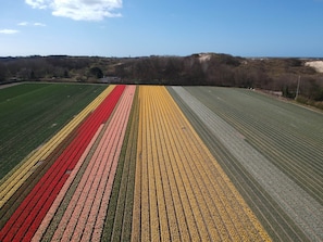 House | View from property