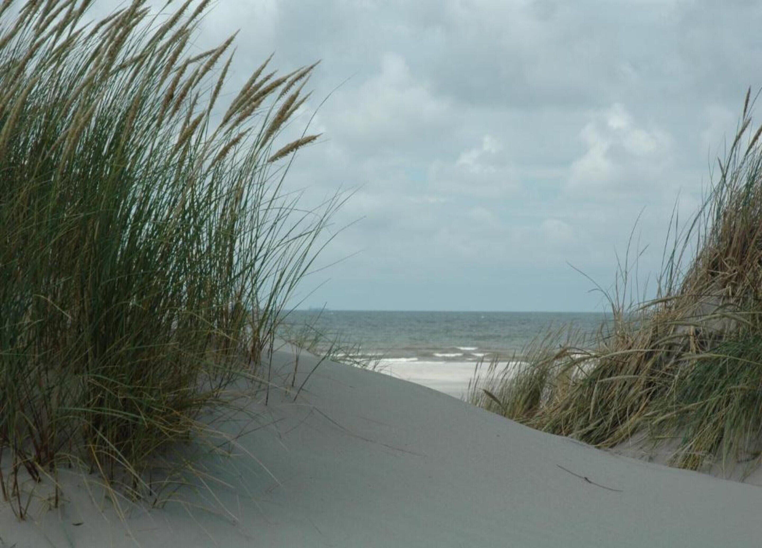 Villa | View from property