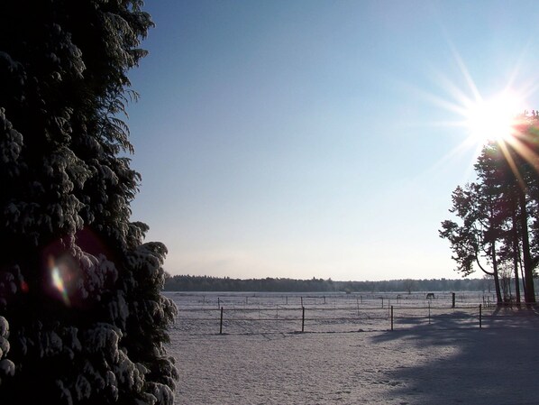 Beach - Amidst Fields, Woods and Sand Dunes (Luyksgestel)