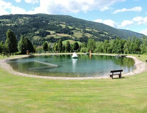 Chalet in Stadl an der Mur / Styria With Terrace