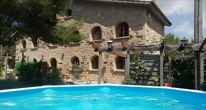 Ideal house for families (pet friendly).