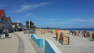 Your own whirlpool & infrared sauna only 30m to the forest & 750m to the beach