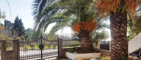 Áreas de la propiedad