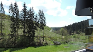 A view from a window with a metal railing, overlooking a forested area with a bridge and a grassy hill. - "All alone" relax without neighbors and other guests   (Sevenig / Our)