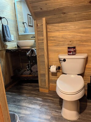 Shower, hair dryer, towels, soap - Cozy mountain retreat overlooking long-range mountain views.   (Maggie Valley)