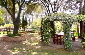 Outdoor dining - Farmhouse Il Bagnolo - L'Olivo             (Grosseto)