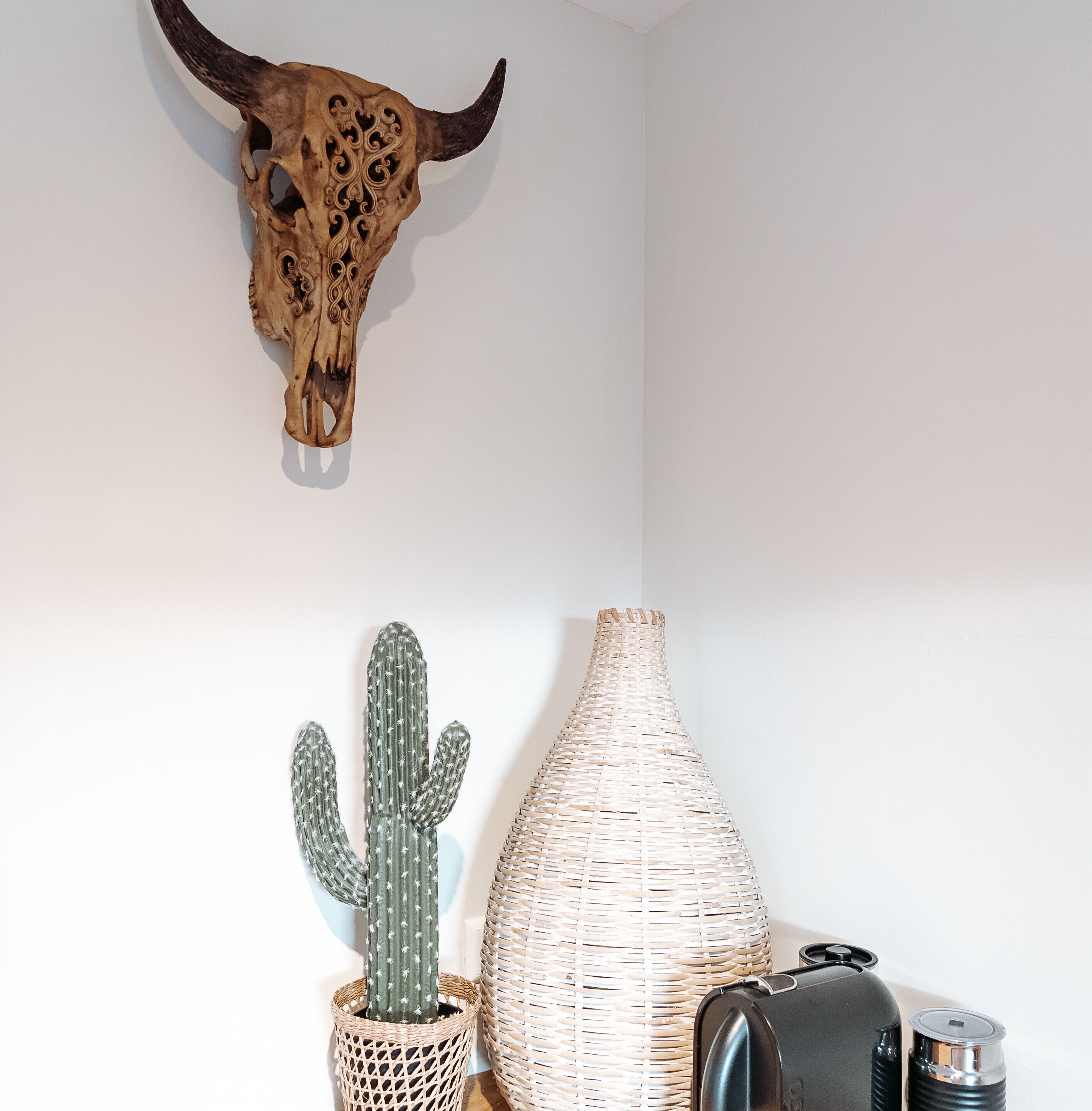 Eine Wand mit einem Kuhschädel, einem Kaktus und einer gewebten Vase.