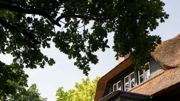Casa luxo (Rotes Haus) | Terraço/pátio
