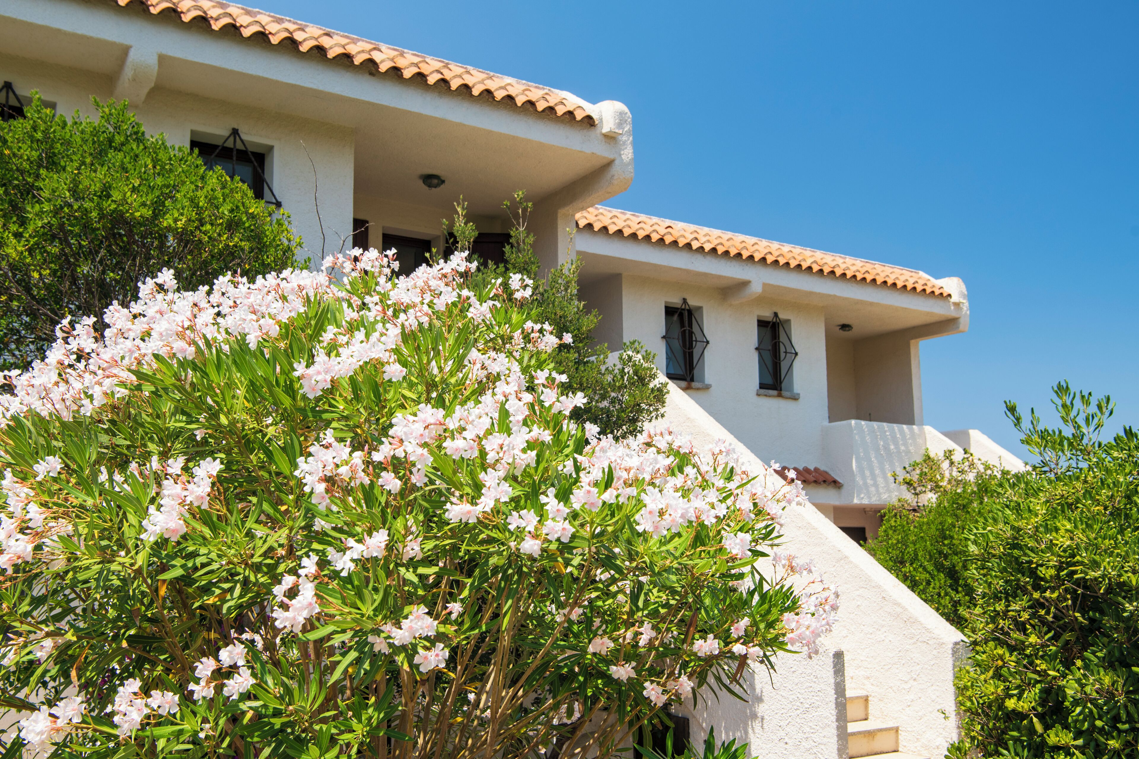 A building with a white facade and terracotta roof tiles, surrounded by lush greenery and flowering plants.