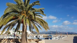 A beachside view with a palm tree, boats, and a stone wall. - CASA DE L'ARTISTA - CAN ROCA (Alcúdia)