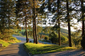 Imagem sem classificação, 5 de 51, botão