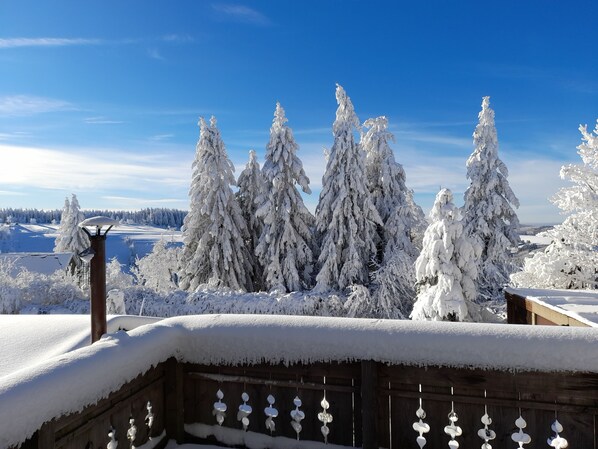 Paisaje nevado con árboles cubiertos de nieve y una valla de madera.