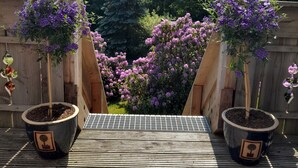 A wooden deck with potted plants and a solar panel.