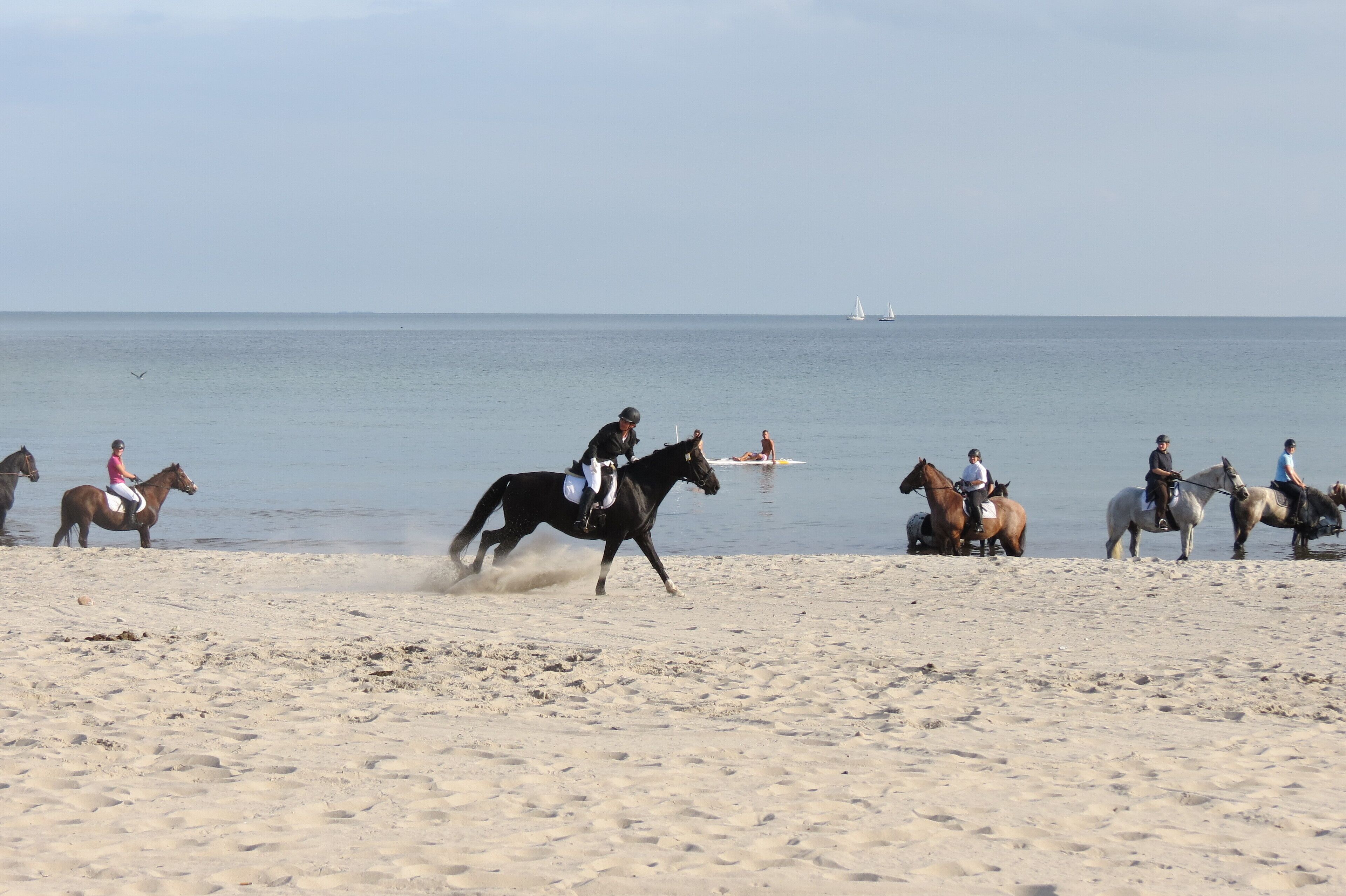 Una playa con caballos y jinetes.