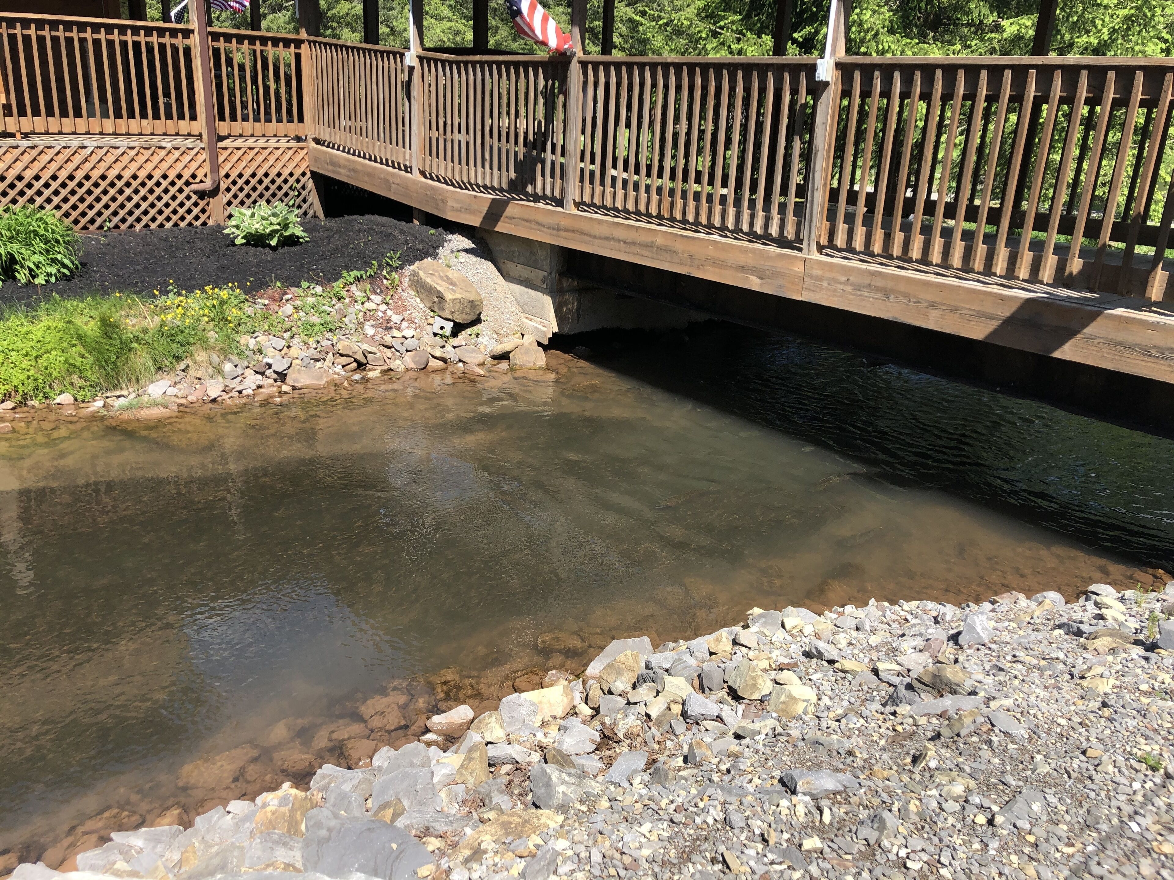 Un puente de madera sobre un arroyo cristalino, con rocas y follaje a su alrededor.