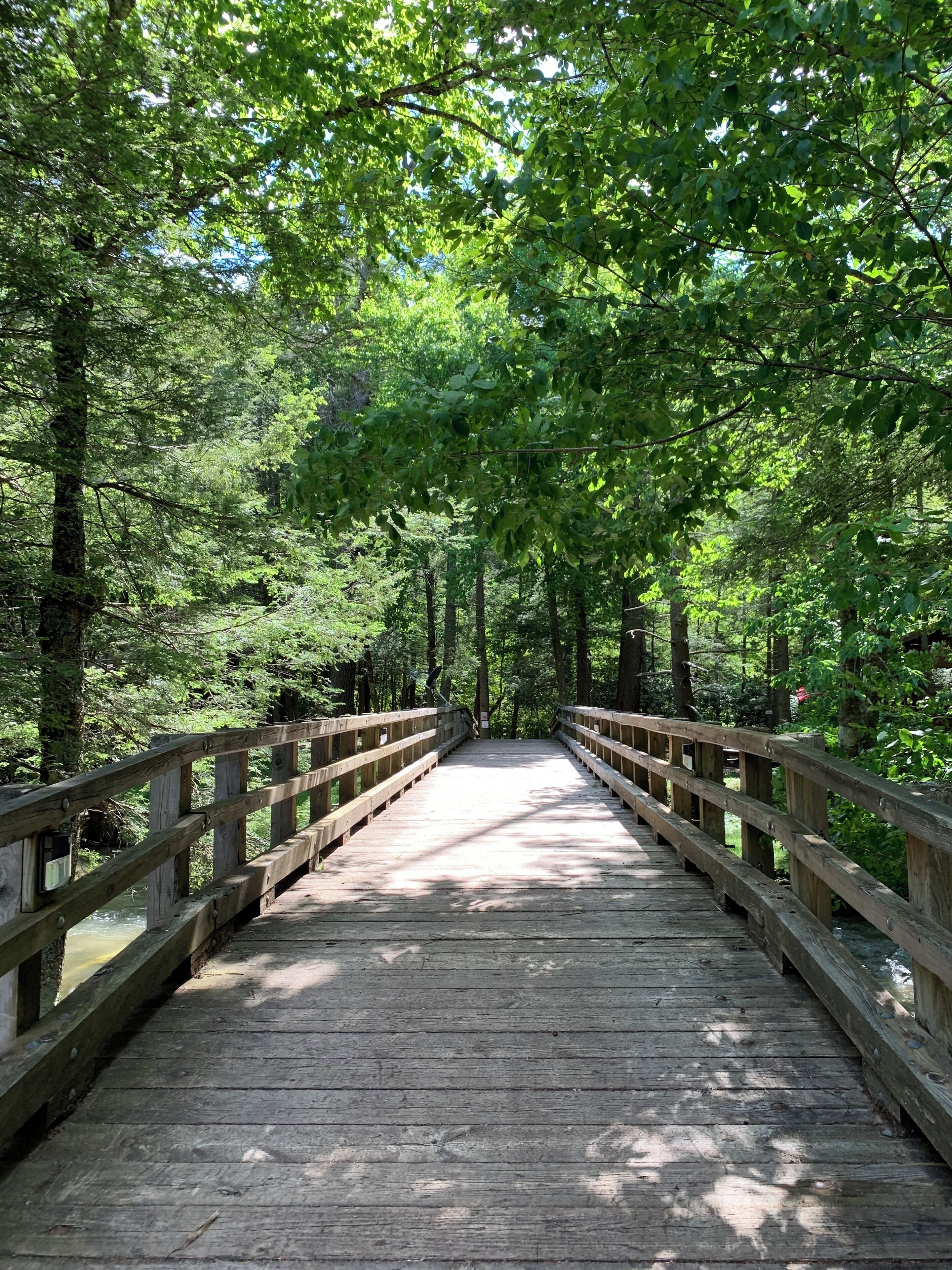 Un pont en bois, situé dans une zone boisée, avec des garde-corps de chaque côté.