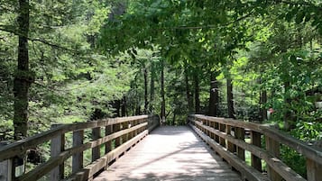 Un pont en bois, situé dans une zone boisée, avec des garde-corps de chaque côté.