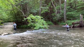 Two people fishing in a forested river area with trees and a fallen log.