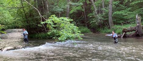 Two people fishing in a forested river area with trees and a fallen log.